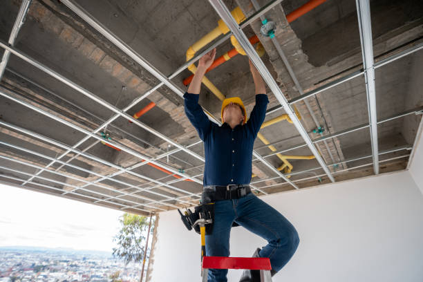 Best Same-Day Plumbing Service  in Fullerton, NE