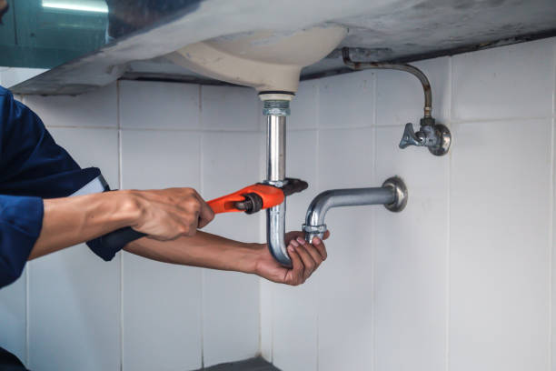 Best Plumbing Services Near Me  in Fullerton, NE